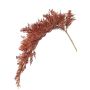Artificial sorghum branch BOTTO with ears, red-brown, 37"/95cm