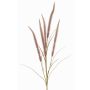 Decorative feather grass branch AREVALO with panicles, mauve, 4ft/135cm