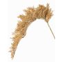 Artificial sorghum branch BOTTO with ears, beige, 37"/95cm