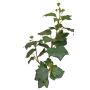 TOYAH artificial ivy branch with berries, green, 65cm