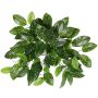 Artificial Hoya carnosa 'QWARA' on a stem, green-white, 14"/35cm