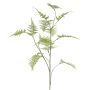 Decorative Asparagus plumosus branch UHERA, green, 5ft/140cm