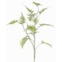 Decorative Asparagus plumosus branch UHERA, green, 5ft/140cm
