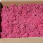 Genuine Icelandic moss SVEINBJÖRN, fuchsia, 2.7kg
