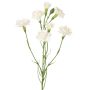 Artificial carnation branch PIARA, white, 60cm, Ø3–5cm