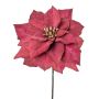 Velvet poinsettia ZEPYRIS, burgundy red, 22"/55cm