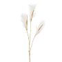 Decorative branch Wood small-reed LOMTA with panicles, cream-gold, 3ft/100cm