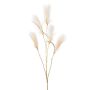 Decorative LOMTA sand reed branch with panicles, cream-gold, 4ft/130cm