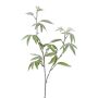 Decorative branch False aralia DREVAL, frosted, white-green, 26"/65cm
