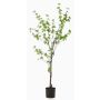 Artificial tree Tropaeolum speciosum TUFFY, artificial stem, green, 5ft/150cm