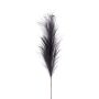 Decorative branch Pampas grass panicle NYX, dark blue, 3ft/100cm