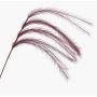 Artificial branch Feather grass panicles LUMINIA, burgundy red, 4ft/135cm
