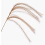 Artificial branch Feather grass panicles LUMINIA, beige, 4ft/135cm