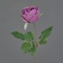 Artificial rose POPI, violet-green, 22"/55cm
