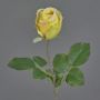 Artificial rose POPI, yellow-pink, 22"/55cm