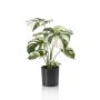 Artificial philodendron Monstera Deliciosa ZAINE, green-white, 16"/40cm