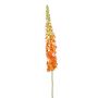 Artificial flower Eremurus NITTI, orange, 4ft/130cm