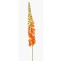 Artificial flower Eremurus NITTI, orange, 4ft/130cm