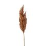 Artificial sorghum branch VANCE with ears, light brown, 31"/80cm