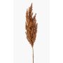 Artificial sorghum branch VANCE with ears, light brown, 31"/80cm