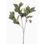 Decorative branch eucalyptus VIZIMIR with fruits, green, 31"/80cm