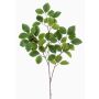 Artificial beech branch SIFOS, green, 3ft/95cm