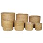 Flower basket AMPARO, seagrass, 7 pieces, beige, 4.7"-12"/12-30cm, Ø5.1"-13"/13-32cm