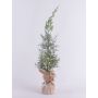 Artificial cedar ANGARA in jute bag, snow-covered, green-white, 24"/60cm