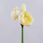 Artificial amaryllis GRELTA, cream-yellow, 31"/80cm