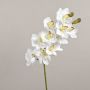 LANAKILA artificial Cymbidium orchid branch, white, 70cm, Ø9cm