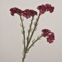 AYISHA artificial beach lavender, dried-look, dark red, 65cm, 3.5x6cm