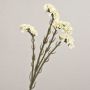 AYISHA artificial beach lavender, dried look, white, 65cm, 3.5x6cm