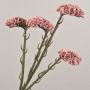 AYISHA artificial beach lavender, dried look, dusky pink, 65cm, 3.5x6cm