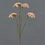 AYISHA artificial beach lavender, dried look, cream-pink, 65cm, 3.5x6cm