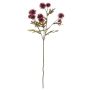 Artificial safflower flower branch TRUDBERTA, dry look, burgundy red, 22"/55cm