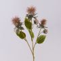 Plastic safflower flower branch VALDISOLI, dry look, dusky pink, 22"/55cm