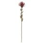 Artificial flower Pincushion protea URMINE, dry look, burgundy red, 24"/60cm