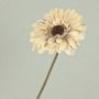 Plastic flower Gerbera TUNGUSKA, dry look, cream-beige, 20"/50cm
