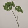 Artificial flower branch Sedum telephium VALBONA, dry look, green, 28"/70cm