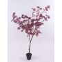 Decorative tree Eucalyptus WISCHERA, fruits, artificial trunk, decorative pot, burgundy-grey, 4ft/120cm