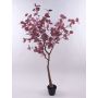 Decorative tree Eucalyptus WISCHERA, fruits, artificial trunk, decorative pot, burgundy-grey, 5ft/150cm