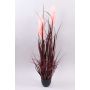 Decorative pampas grass WERNHILD with panicles, decorative pot, red-brown, 35"/90cm