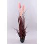 Decorative pampas grass WERNHILD with panicles, decorative pot, red-brown, 4ft/120cm