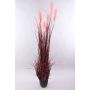 Decorative pampas grass WERNHILD with panicles, decorative pot, red-brown, 6ft/180cm
