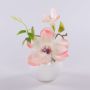 FEMI artificial magnolia in a white ceramic pot, cream-apricot, 20 cm, Ø17 cm