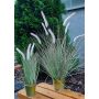 Artificial fountain grass SVERRE with panicles, zinc pot, pink-green, 31"/80cm
