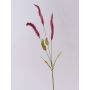 Decorative grass branch Liriope JELIKANTA with panicles, burgundy red, 30"/75cm