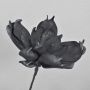 Plastic foam magnolia AMILIE, glitter, black, 12"/30cm, Ø10"/26cm