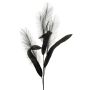 Plastic foam branch Reed grass ZIGOR with glitter, black, 4ft/110cm