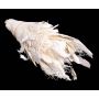 Natural coconut fibre ABENA, white, 220g
